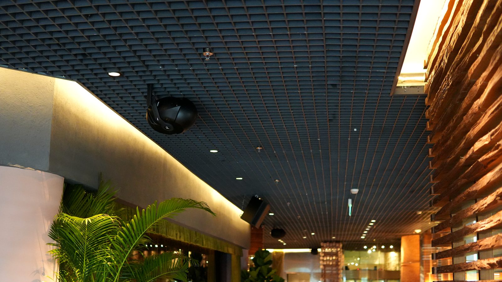 Grand Hyatt ceiling detail